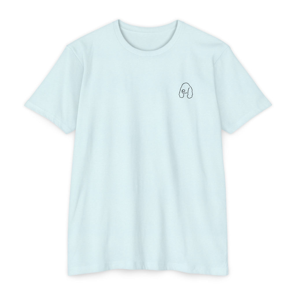 The Measurement Tee